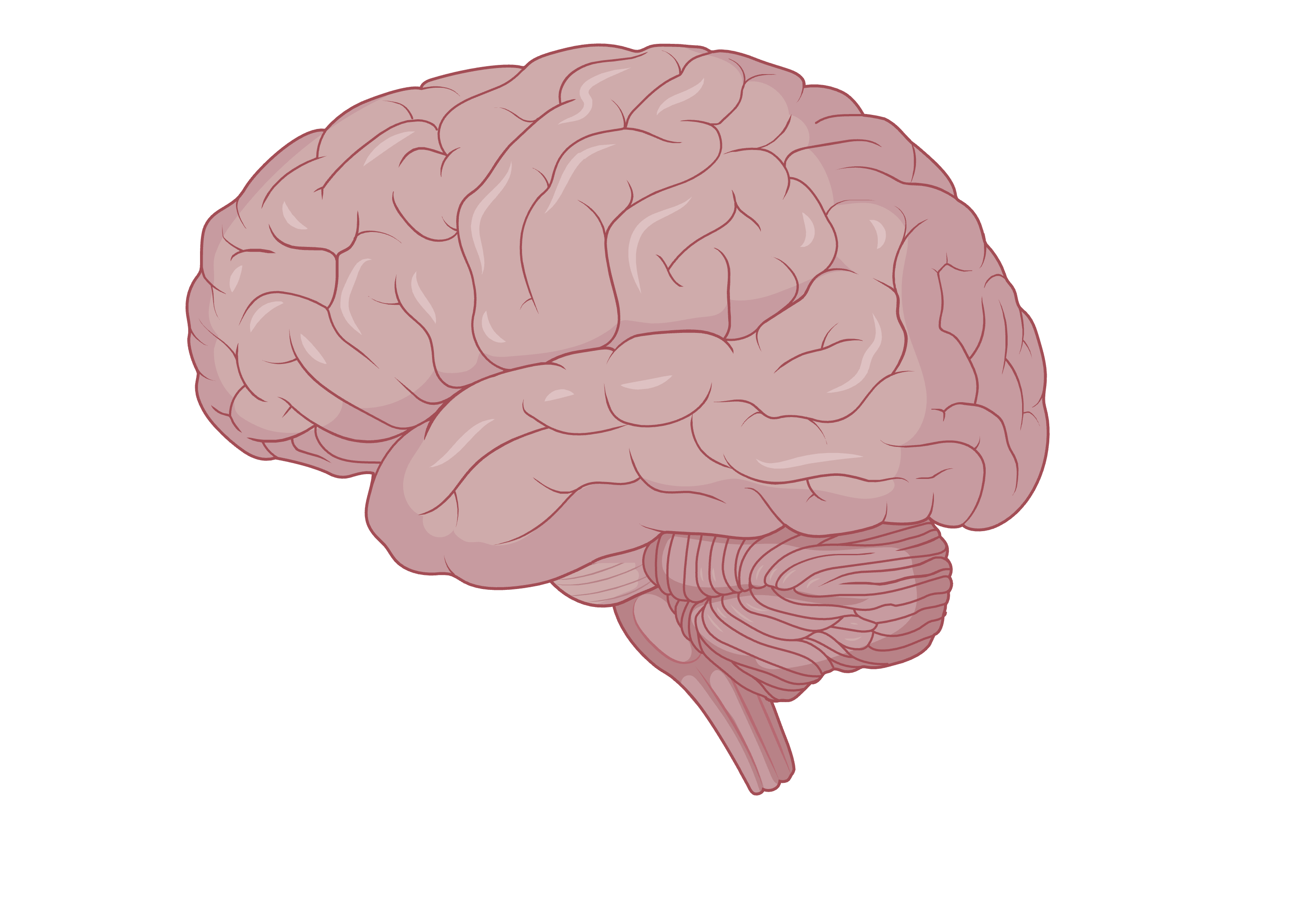 HangBrain